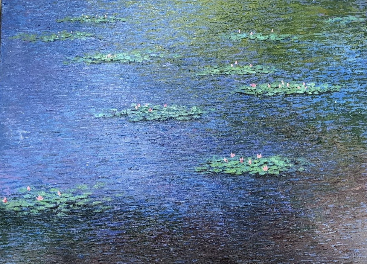 Water lily pond